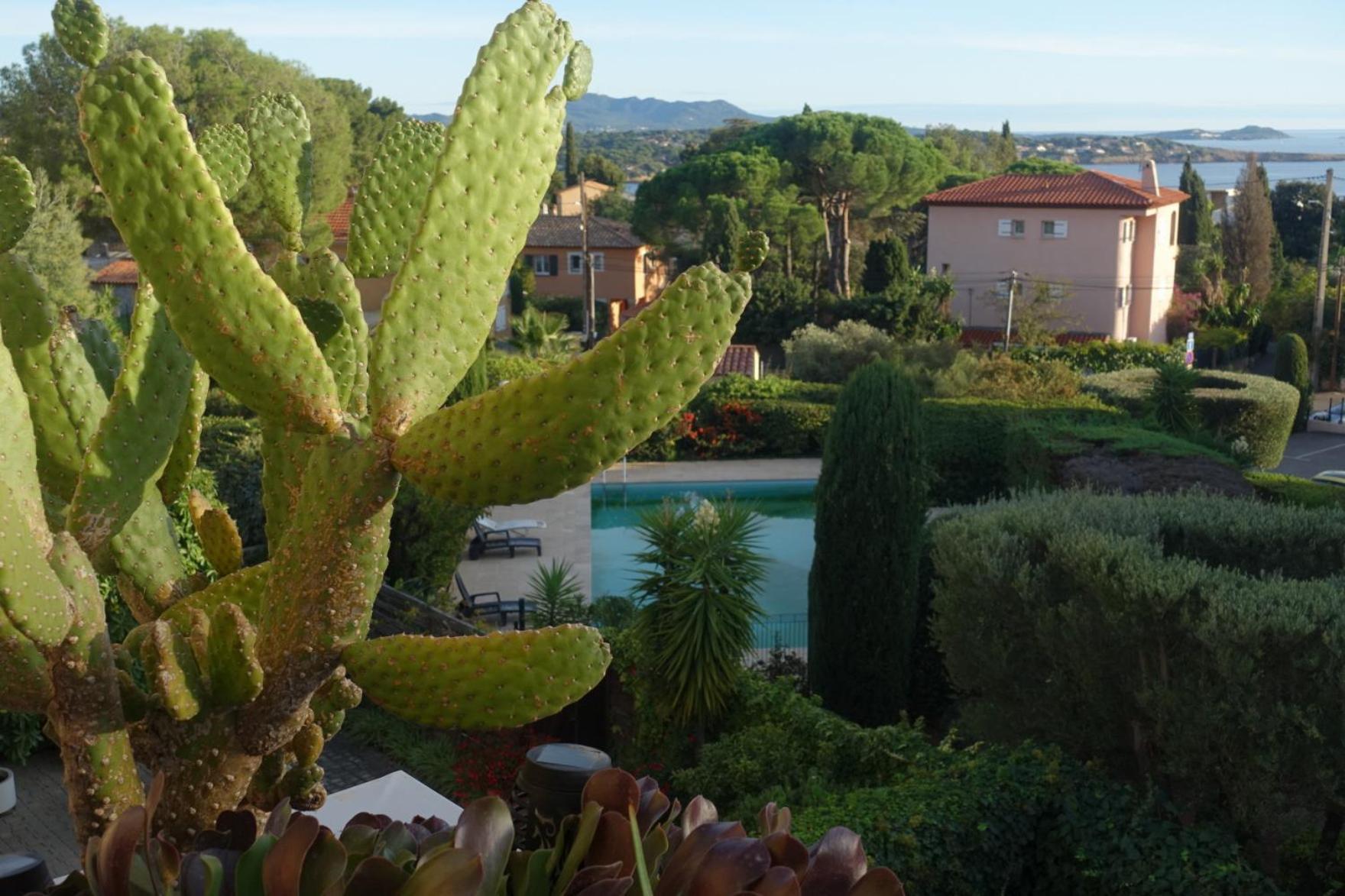 Les Jardins De Bandol, Piscine Privee, Belle Vue Mer ภายนอก รูปภาพ